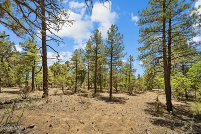 731 S Barberry Lane, Show Low, AZ 85901