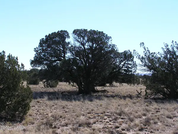 9 N9131, Concho, AZ 85924