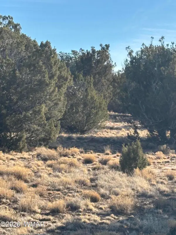 337 N8269, Concho, AZ 85924