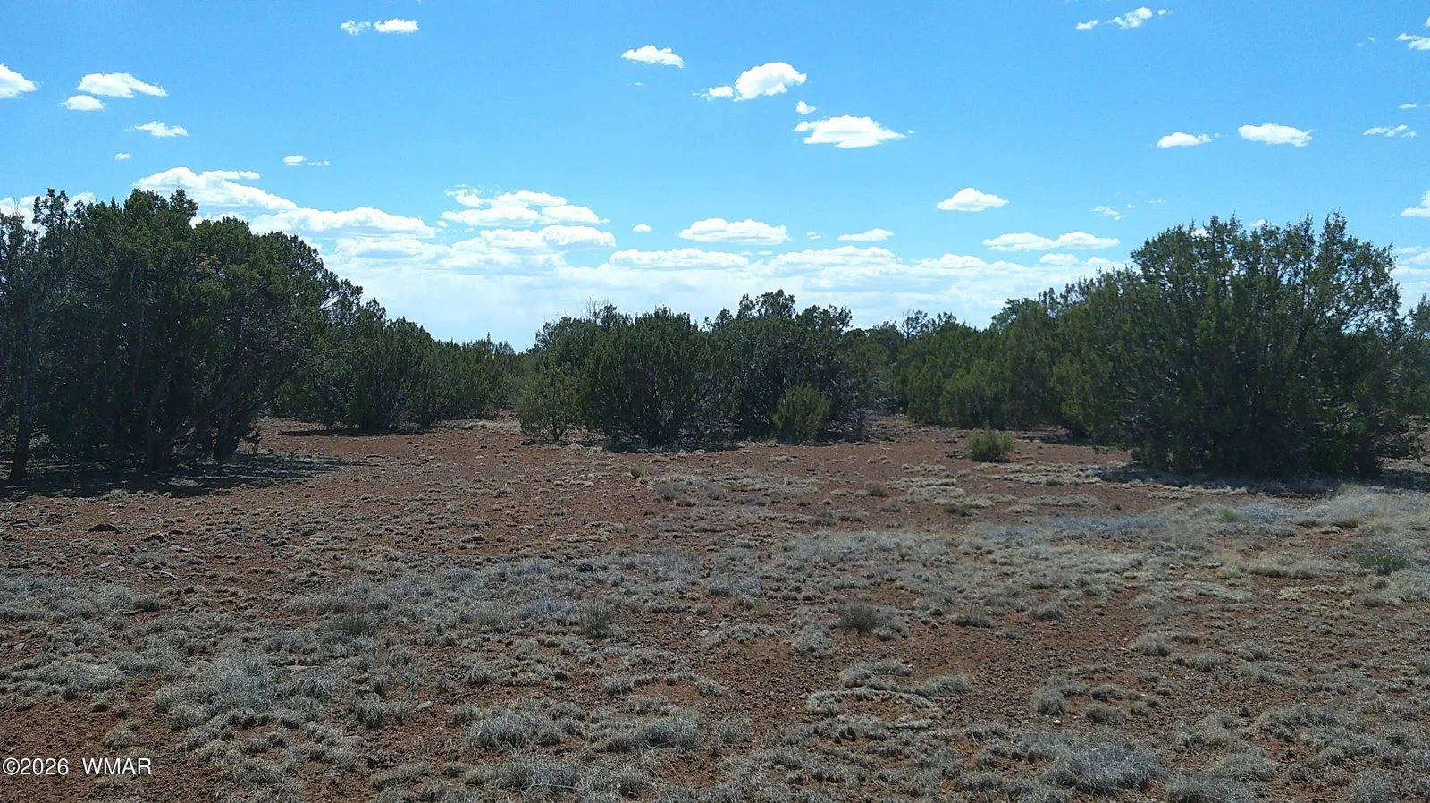 5 County Road 8077, Lot 1575, Concho, AZ 85924 — Photo 1 of 9
