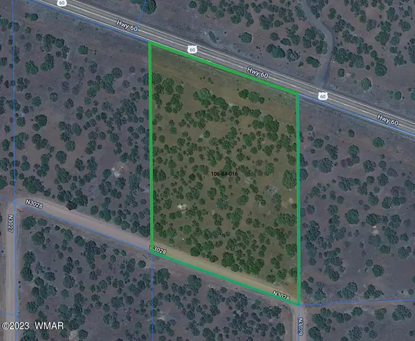 Lot 16 ACR 3028, Vernon, AZ 85940
