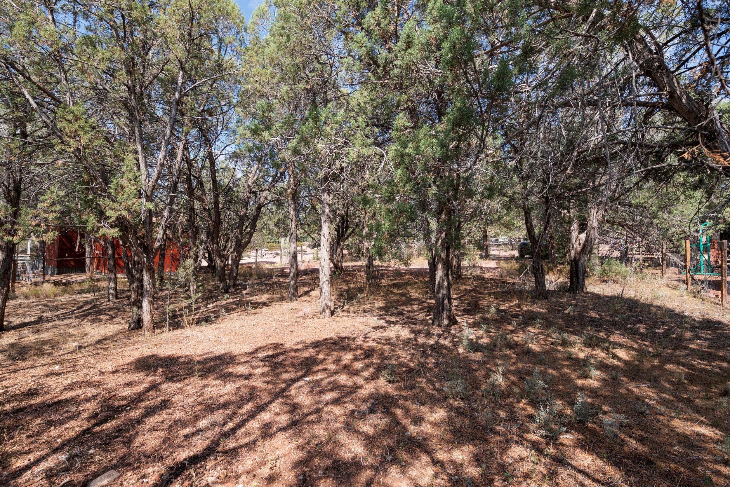 000 Palomino Drive, Payson, AZ 85541 — Photo 1 of 5