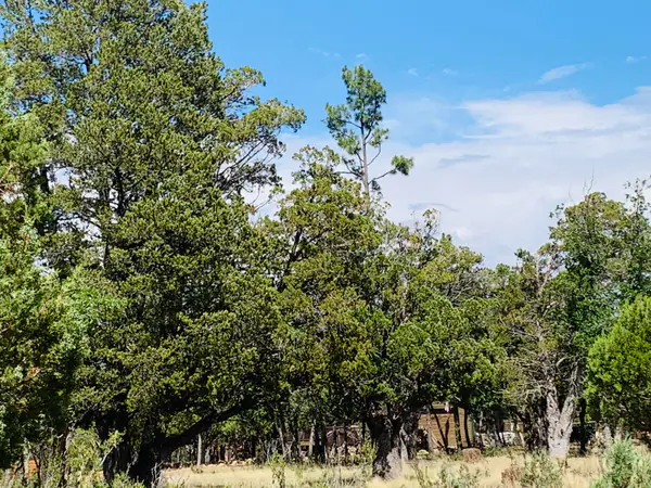 2277 Pine Crest Drive, Happy Jack, AZ 86024