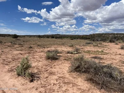 3926 Dia Estrella Road, Snowflake, AZ 85937