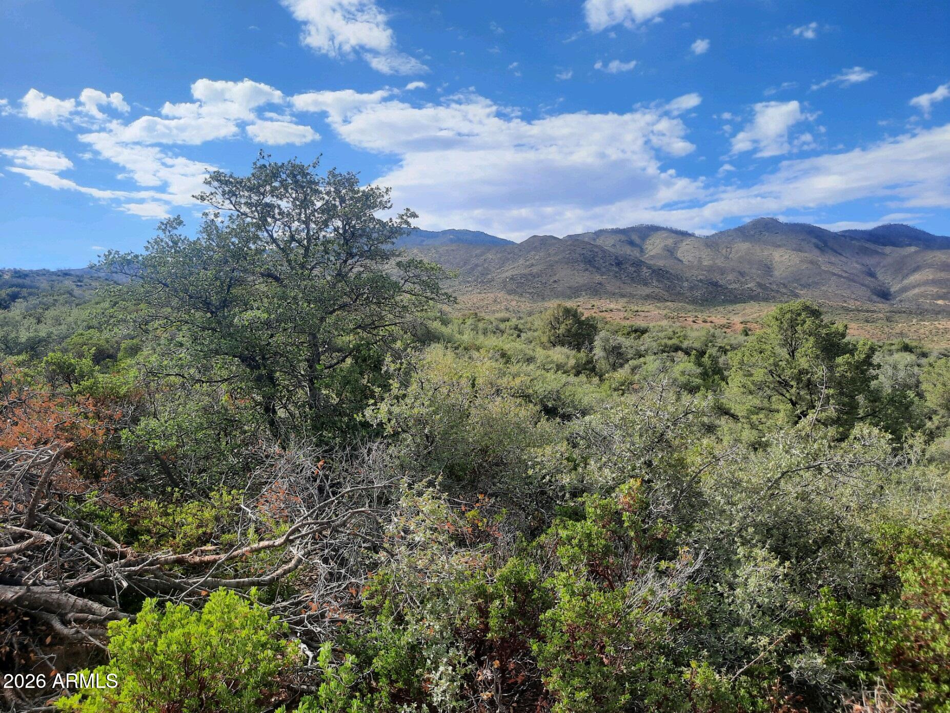 1XX N Chicory Lane -, Globe, AZ 85501 — Photo 1 of 13