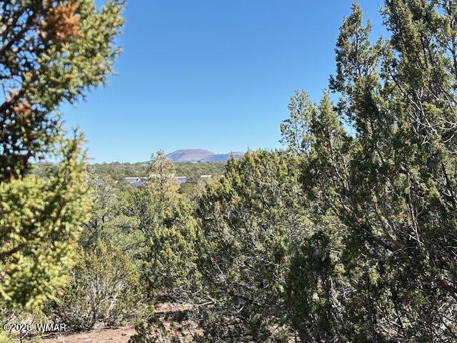 TBD N3239, Vernon, AZ 85940 — Photo 1 of 26