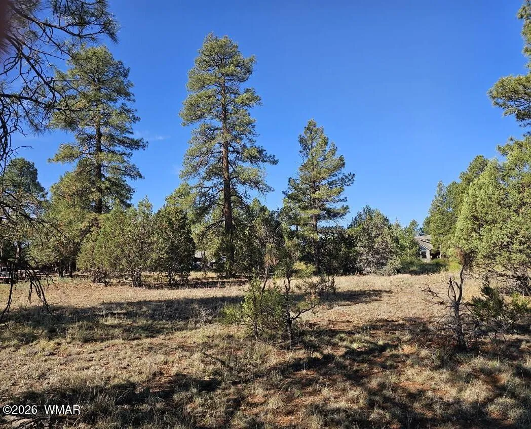2236 Moccasin Drive, Overgaard, AZ 85933 — Photo 1 of 12