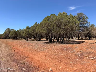 2756 Apollo Circle 141, Overgaard, AZ 85933