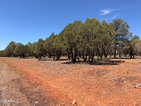 2756 Apollo Circle 141, Overgaard, AZ 85933