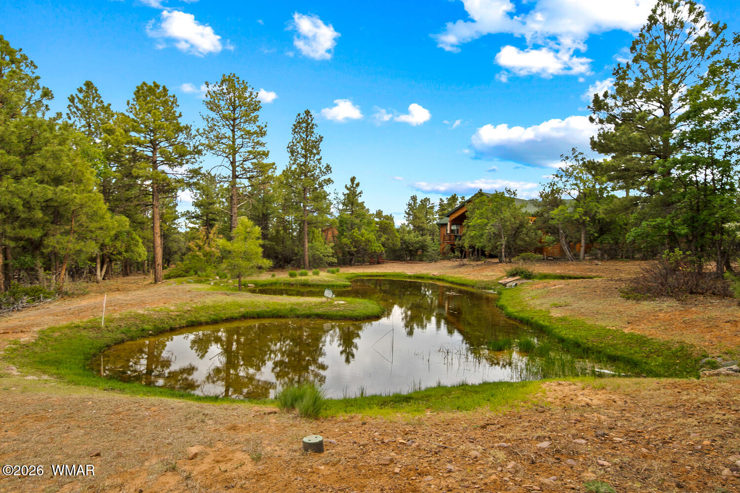 4401 W Shaggy Bark Road, Show Low, AZ 85901 — Photo 1 of 40