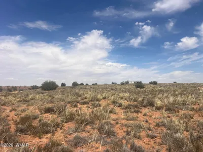 Thumbnail 13
