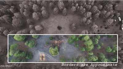 Thumbnail 28