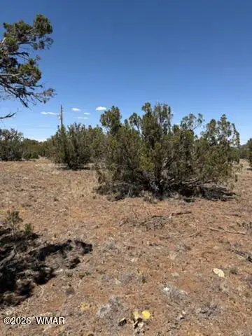 8476 Elkhorn Drive, Show Low, AZ 85901