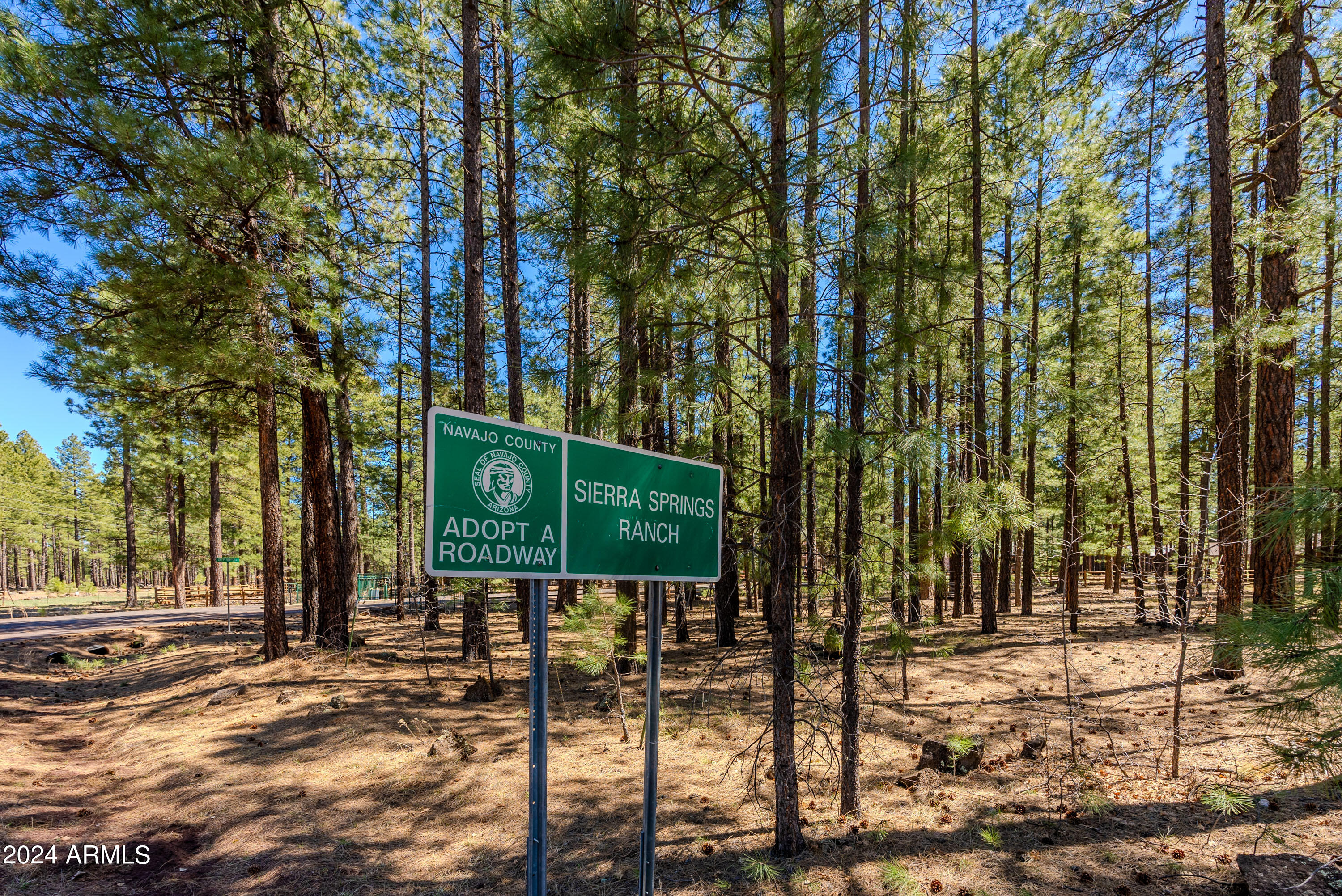 00000 Sky Hi Road -, Pinetop, AZ 85935 — Photo 1 of 30
