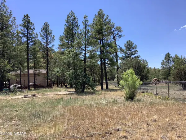 1421 Zola Street, Lakeside, AZ 85929