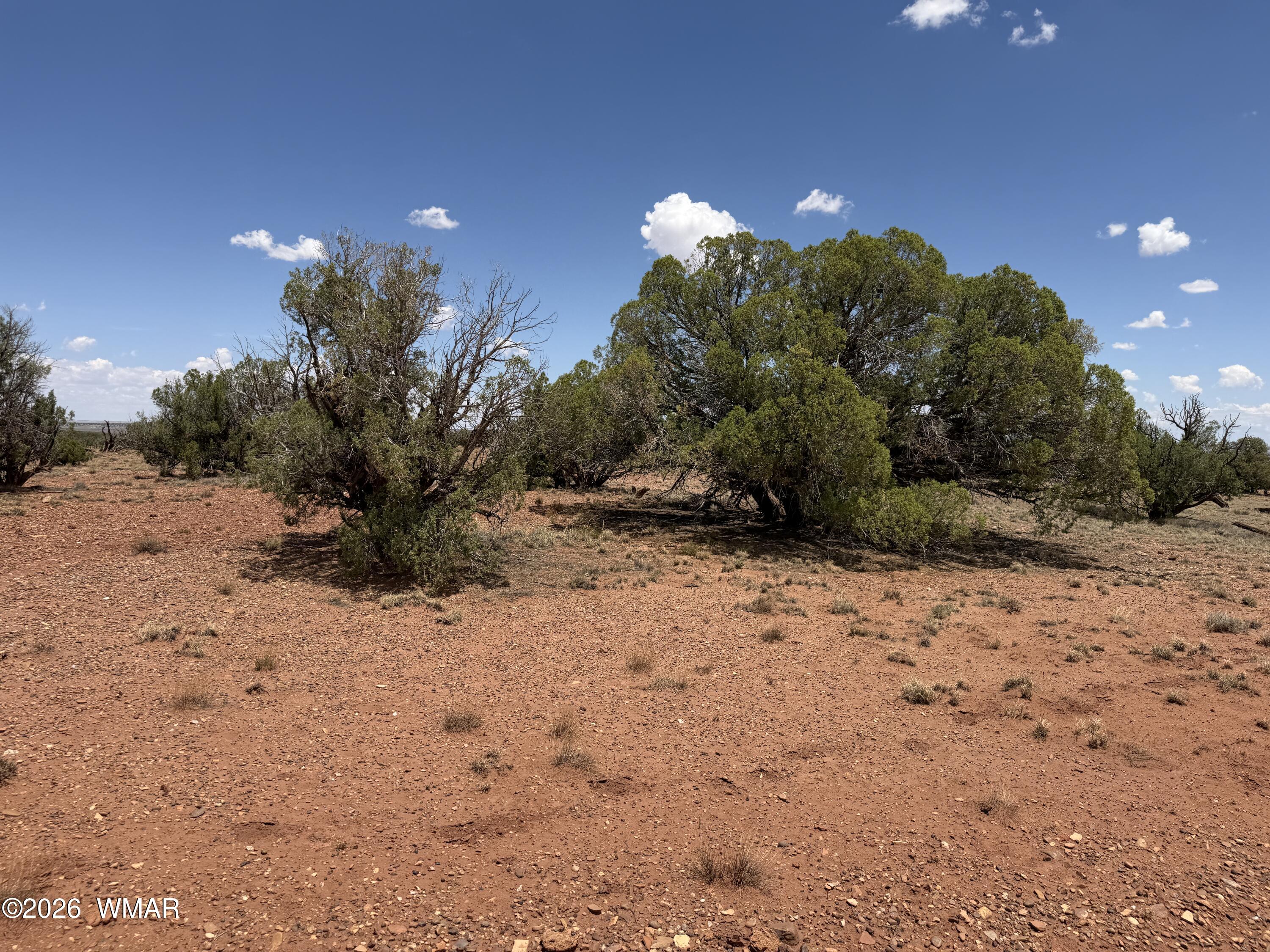 20 N 9160, Concho, AZ 85924 — Photo 1 of 9