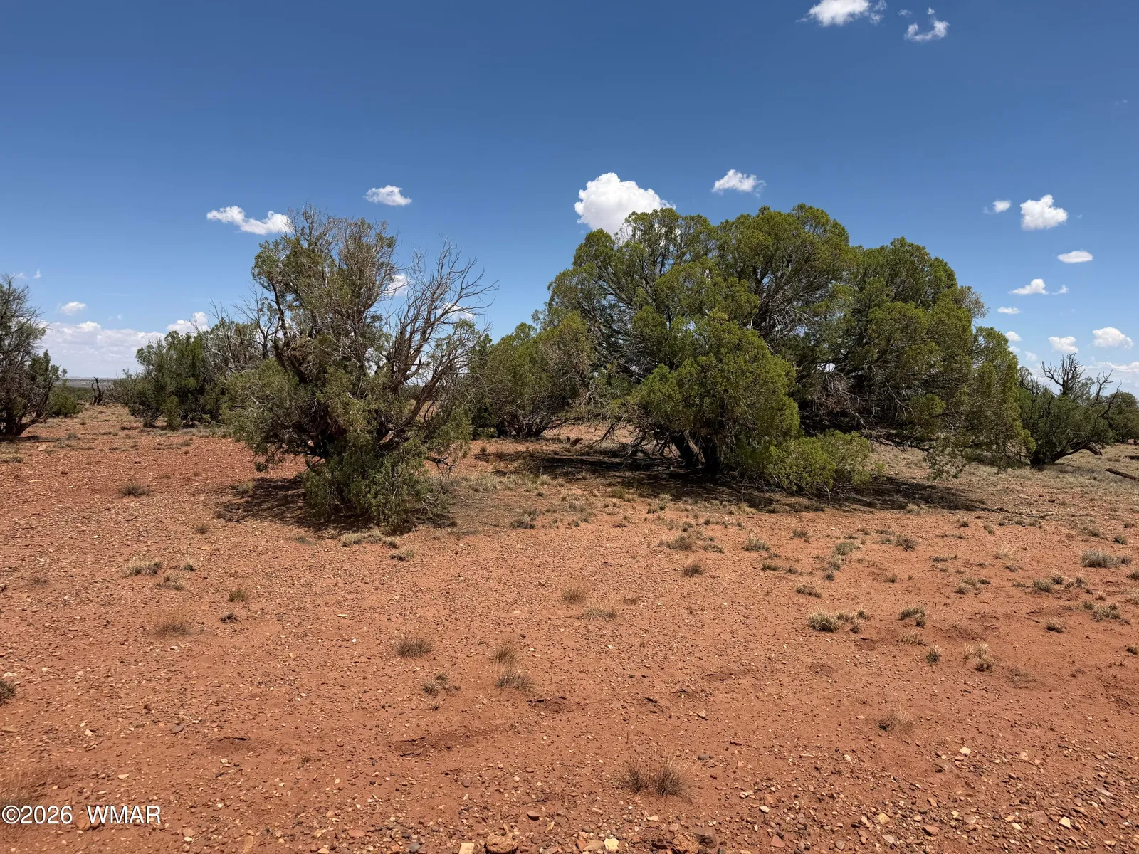 20 N 9160, Concho, AZ 85924 — Photo 1 of 9