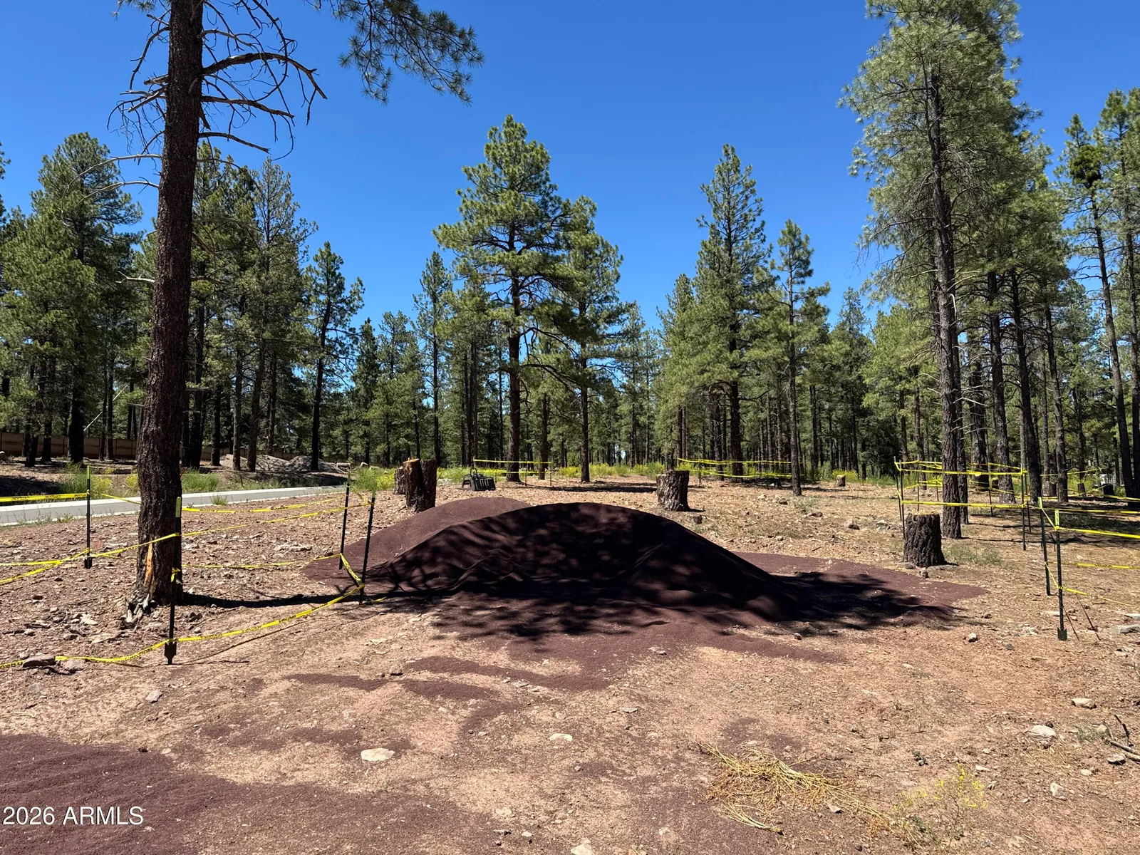 1985 Flower Spring Trl 59, Flagstaff, AZ 86005 — Photo 1 of 1