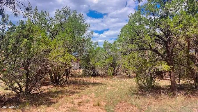 3491 EVERGREEN Drive 322, Overgaard, AZ 85933 — Photo 1 of 20