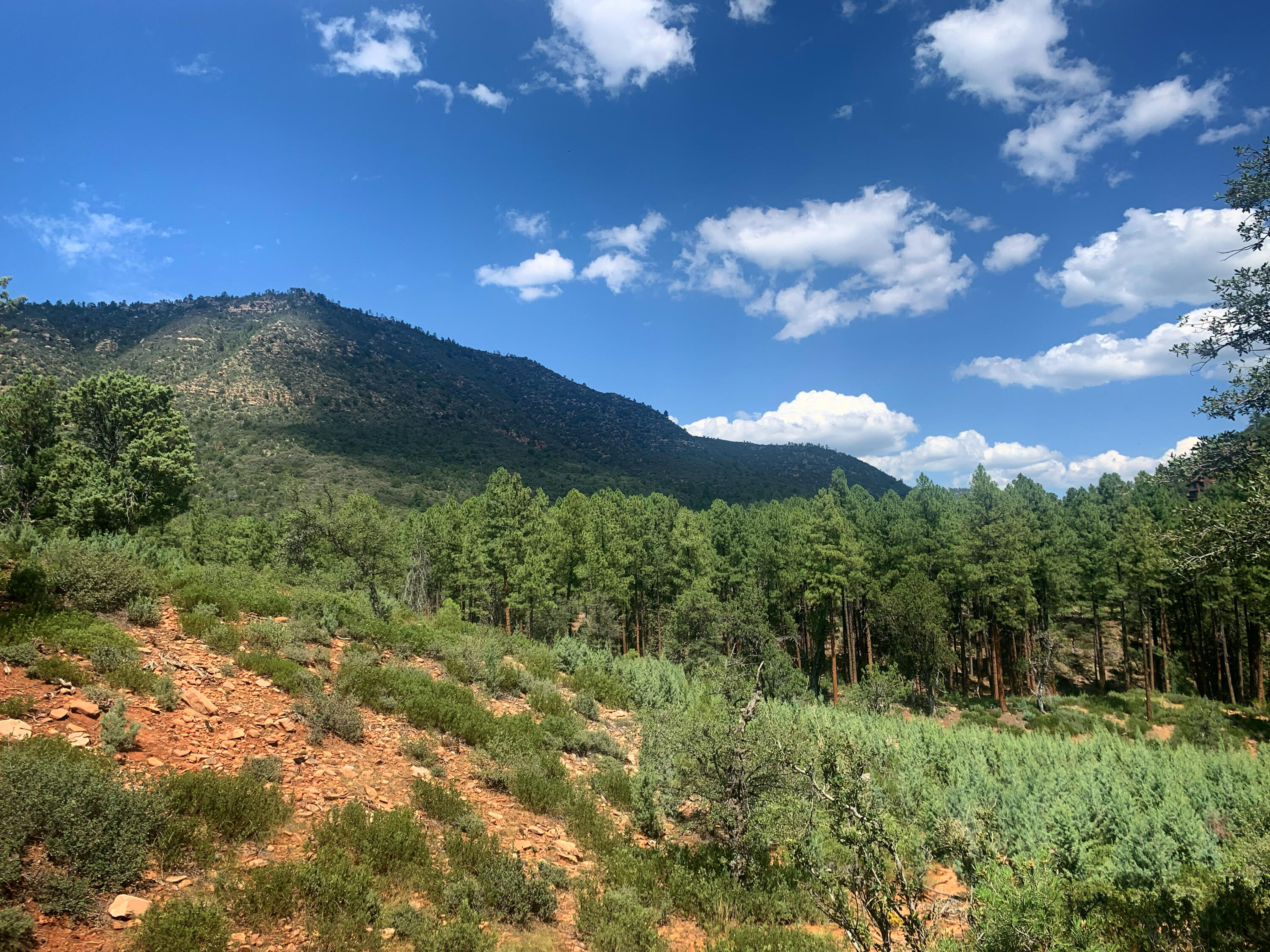 Lot 49 Ruin Hill Loop, Pine, AZ 85544 — Photo 1 of 18