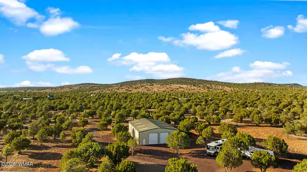 61 County Road 3114, Vernon, AZ 85940