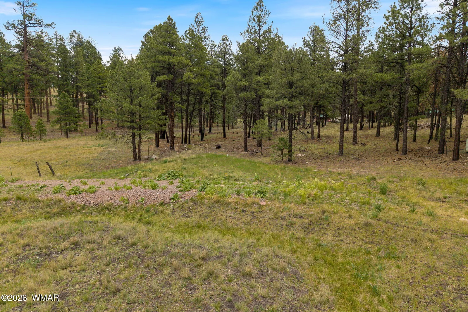 TBD County Rd 2121, Alpine, AZ 85920 — Photo 1 of 19