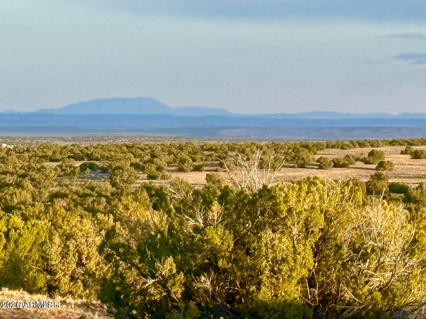 TBD Co Rd N7120 40 Acres -, St Johns, AZ 85936 — Photo 1 of 20