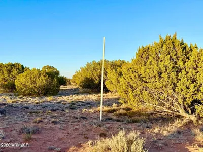 Thumbnail 19
