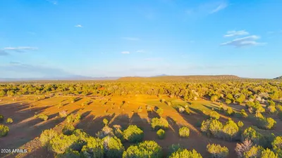 TBD N SIX SHOOTER TRL 20 ACRES 211, Ash Fork, AZ 86320