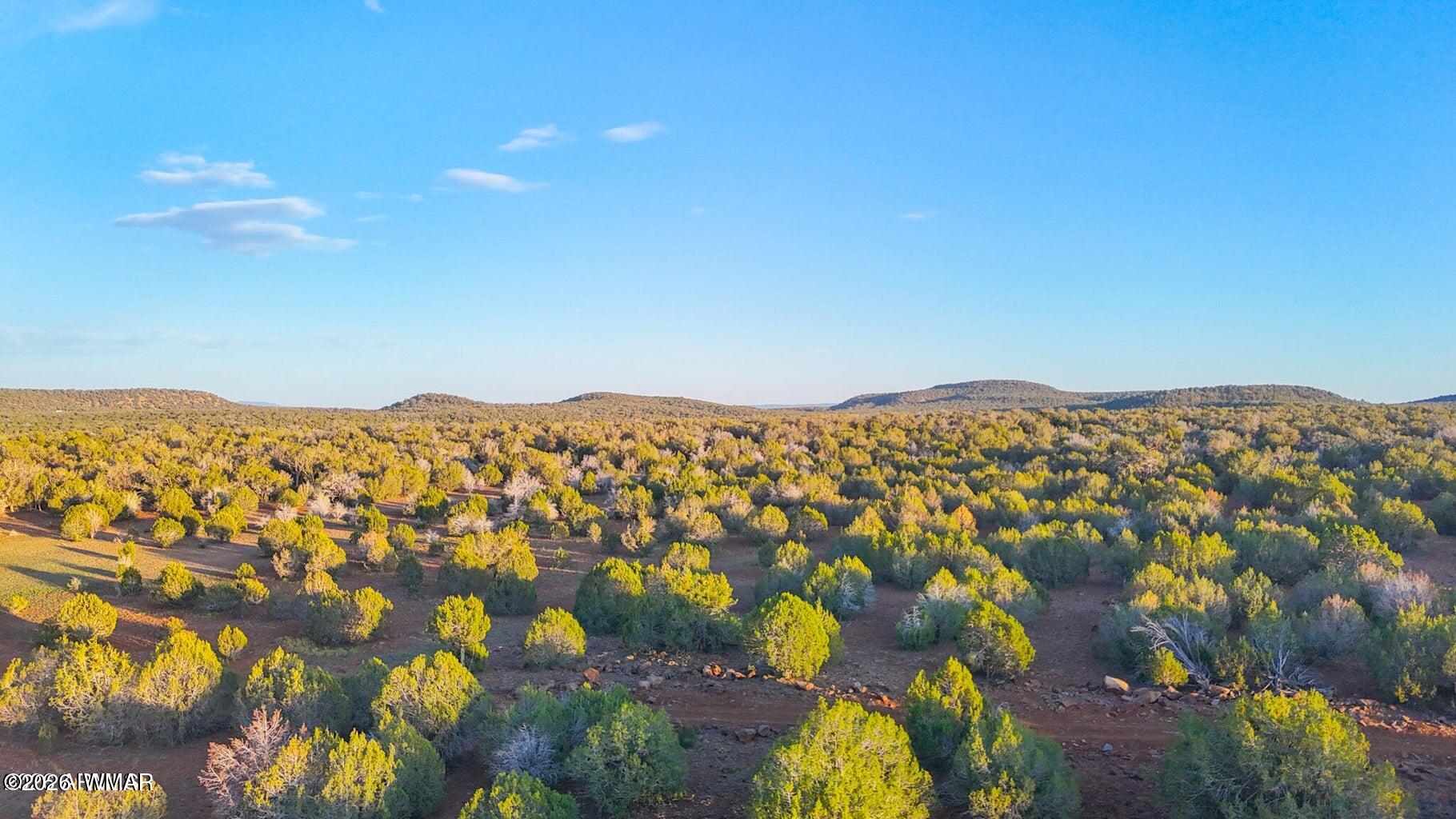 TBD N SIX SHOOTER TRL 20 ACRES, Ash Fork, AZ 86320 — Photo 1 of 15