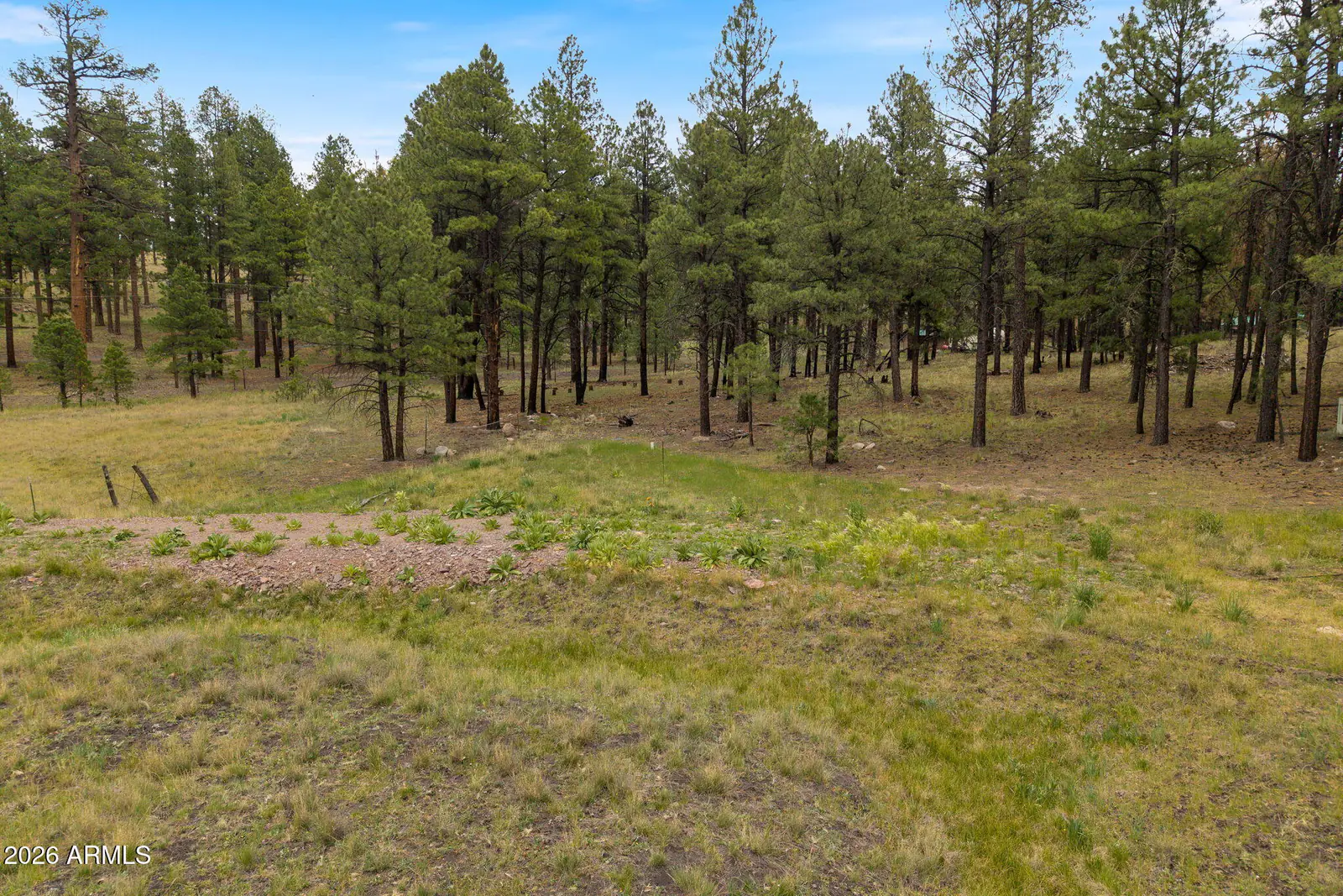 TBD County Rd 2121 -, Alpine, AZ 85920 — Photo 1 of 19