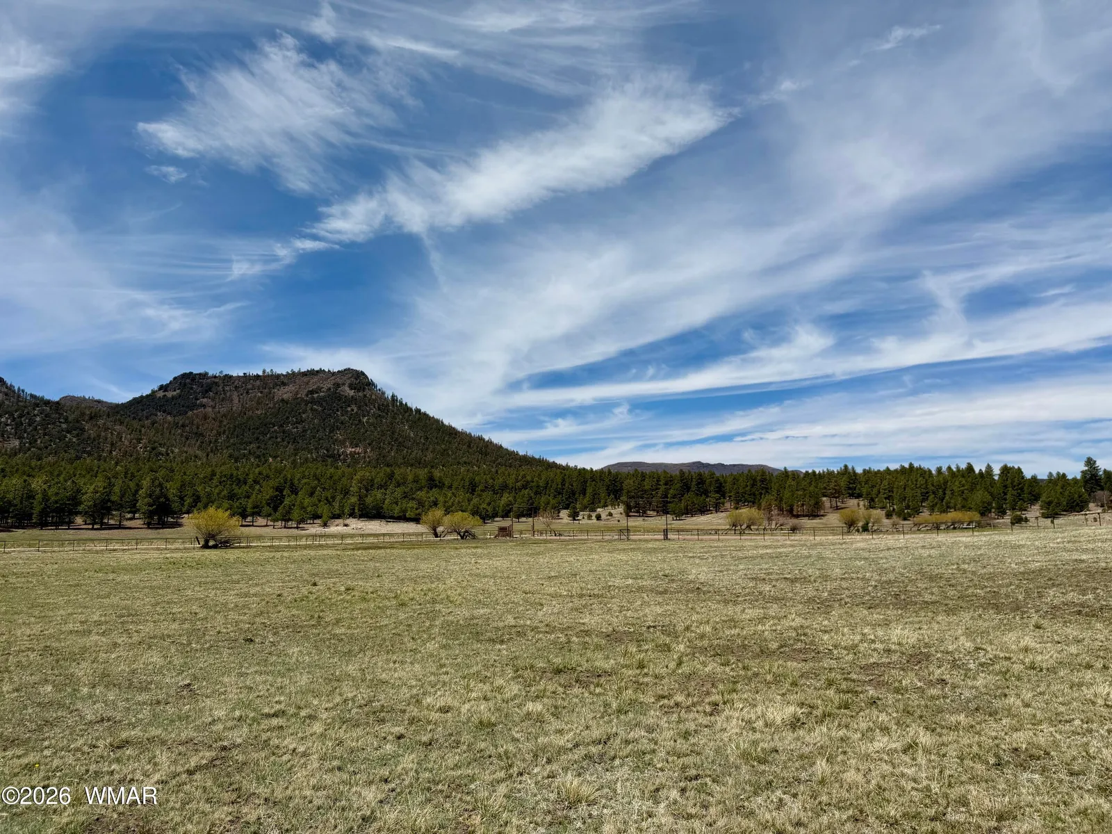TBD County Road N2276, Nutrioso, AZ 85932 — Photo 1 of 9