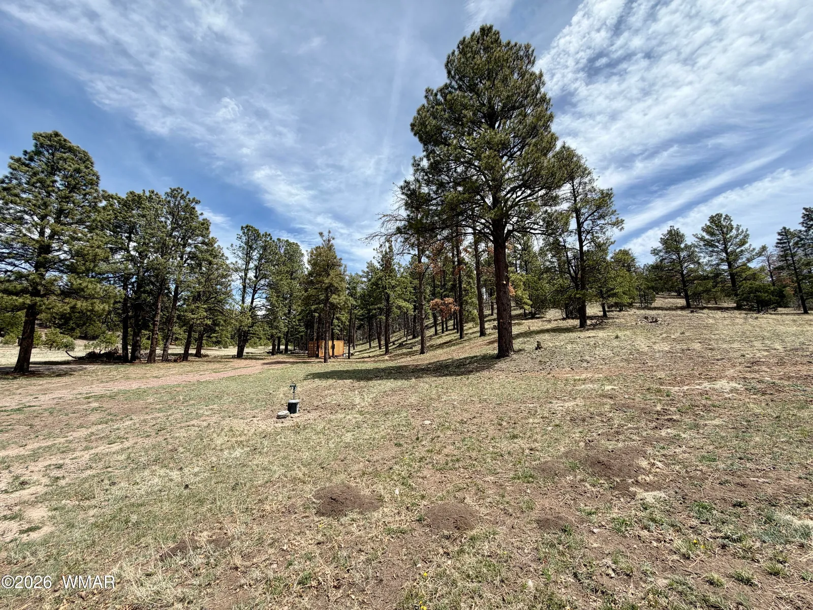TBD County Road N2276, Nutrioso, AZ 85932 — Photo 1 of 11