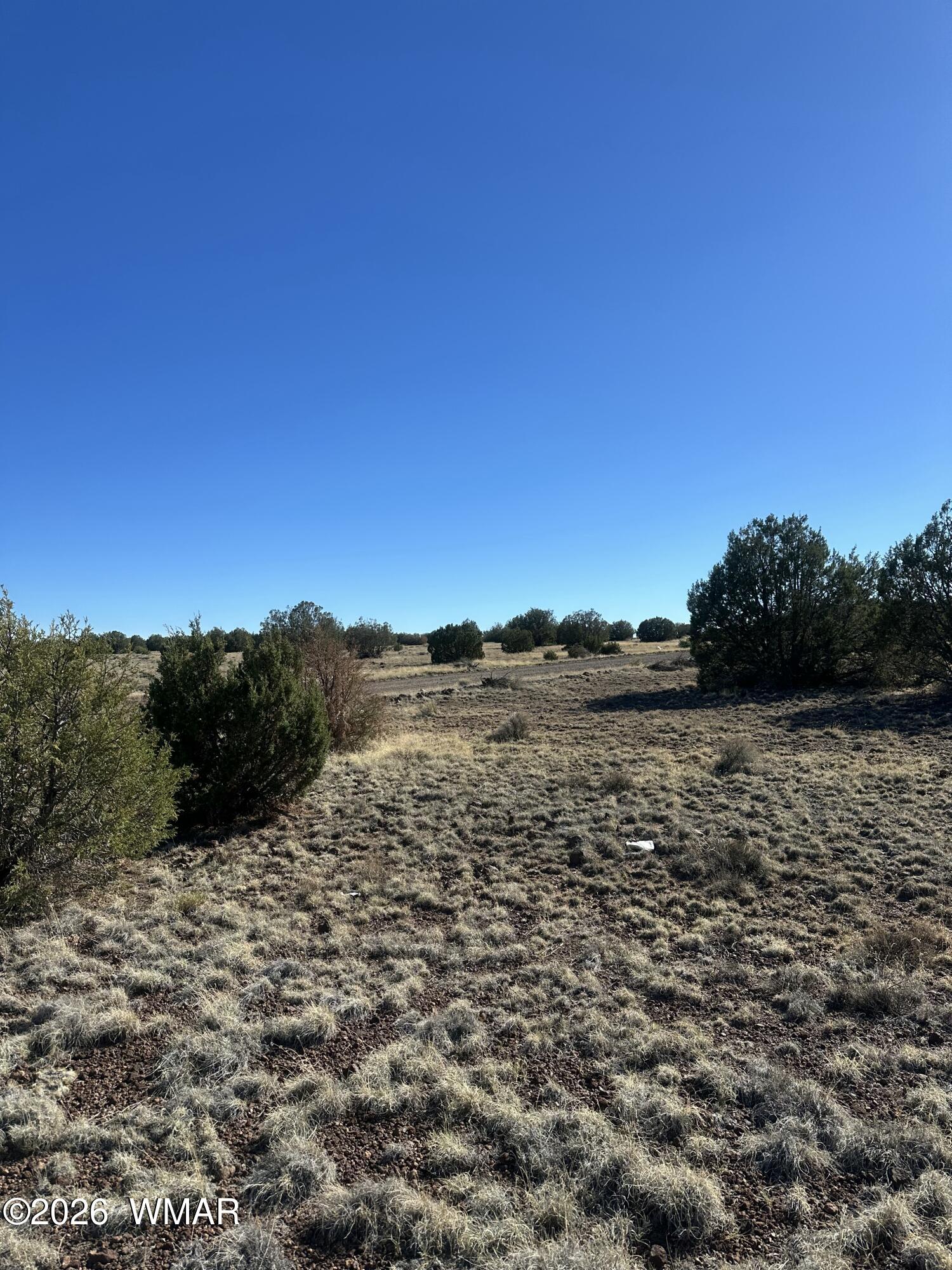 TBD 201-29-164C, Concho, AZ 85924 — Photo 1 of 4