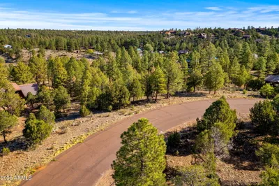 2794 Skyhawk Drive, Overgaard, AZ 85933