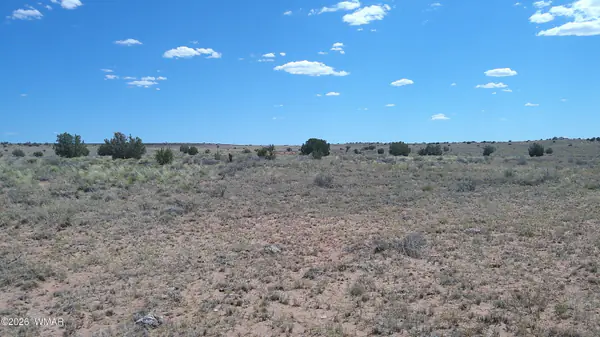 8356 Holly Trail, Snowflake, AZ 85937