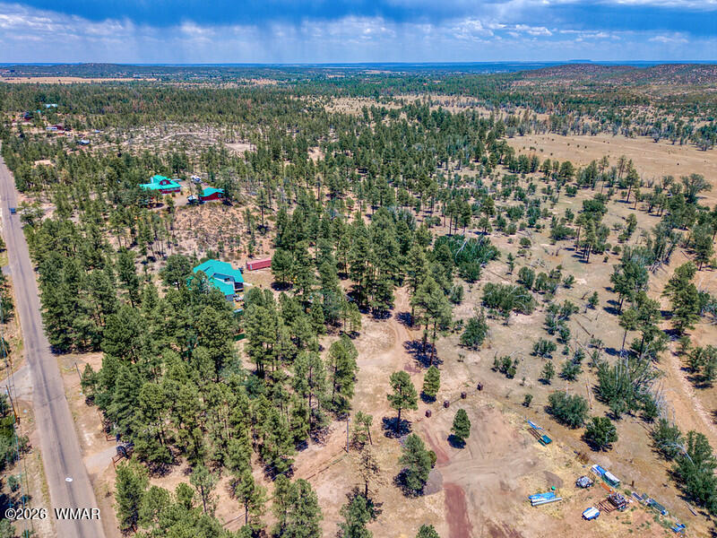 859 White Mountain Drive, Show Low, AZ 85901 — Photo 1 of 29