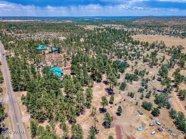 859 White Mountain Drive, Show Low, AZ 85901