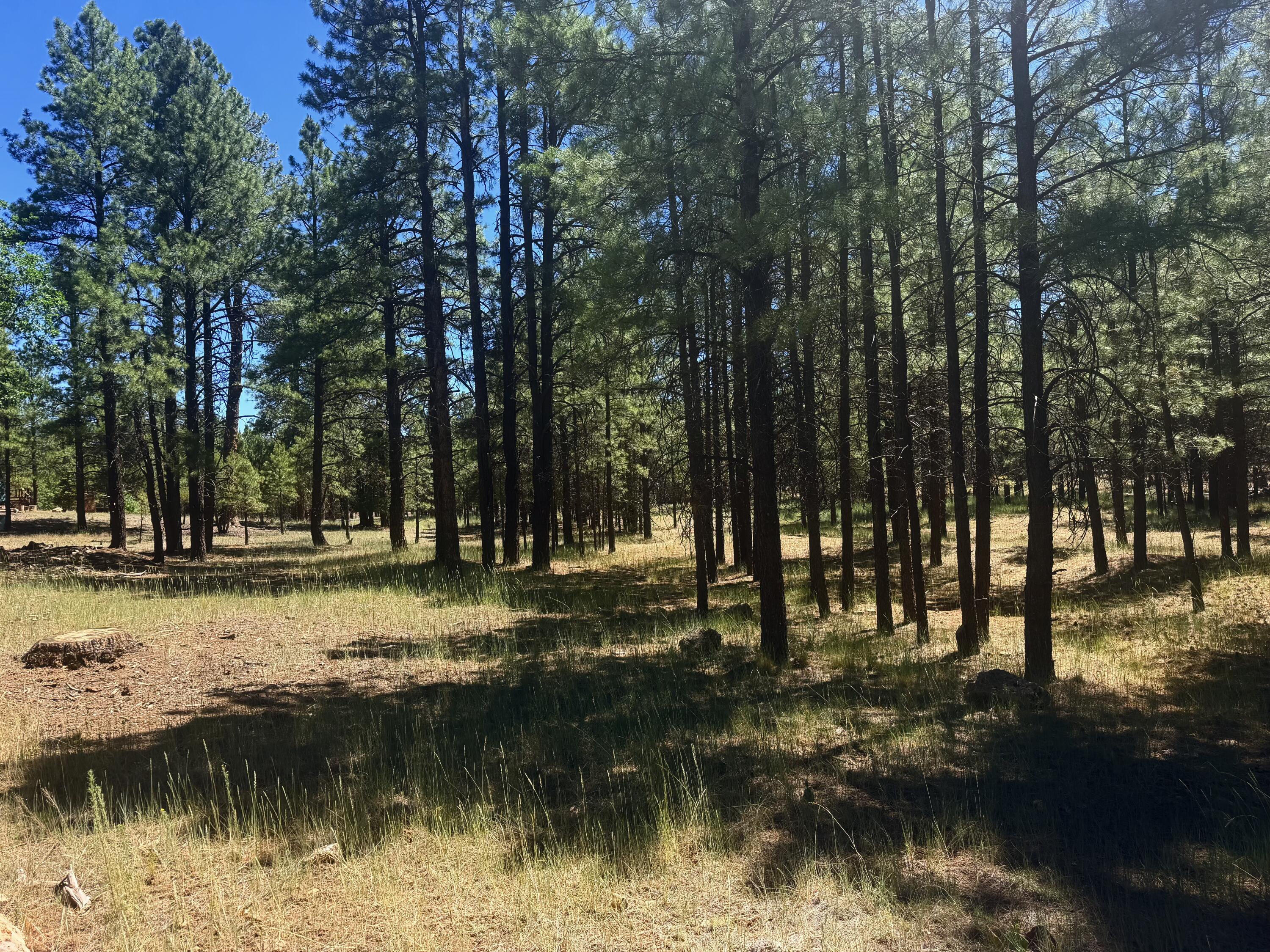 2124 Antelope Way, Happy Jack, AZ 86024 — Photo 1 of 27