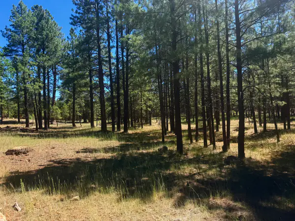 2124 Antelope Way, Happy Jack, AZ 86024