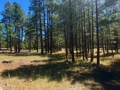2124 Antelope Way, Happy Jack, AZ 86024