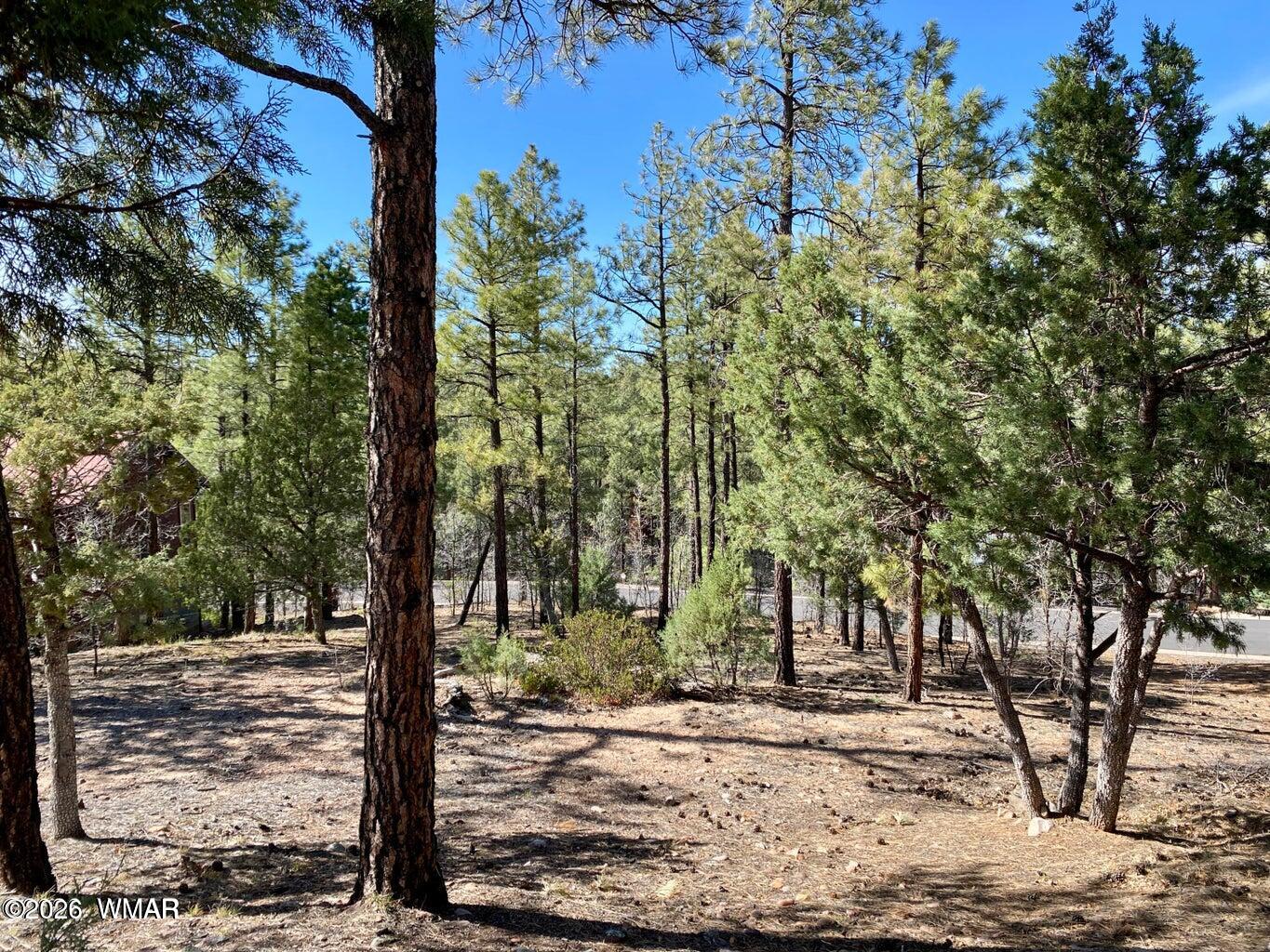 901 E Cedar Ridge Run, Show Low, AZ 85901 — Photo 1 of 4
