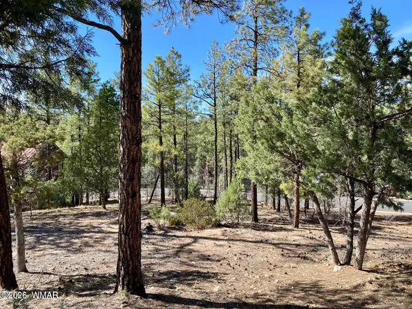 901 E Cedar Ridge Run, Show Low, AZ 85901
