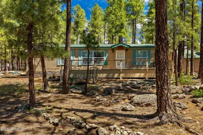 7 N COUNTY ROAD N2132, Alpine, AZ 85920