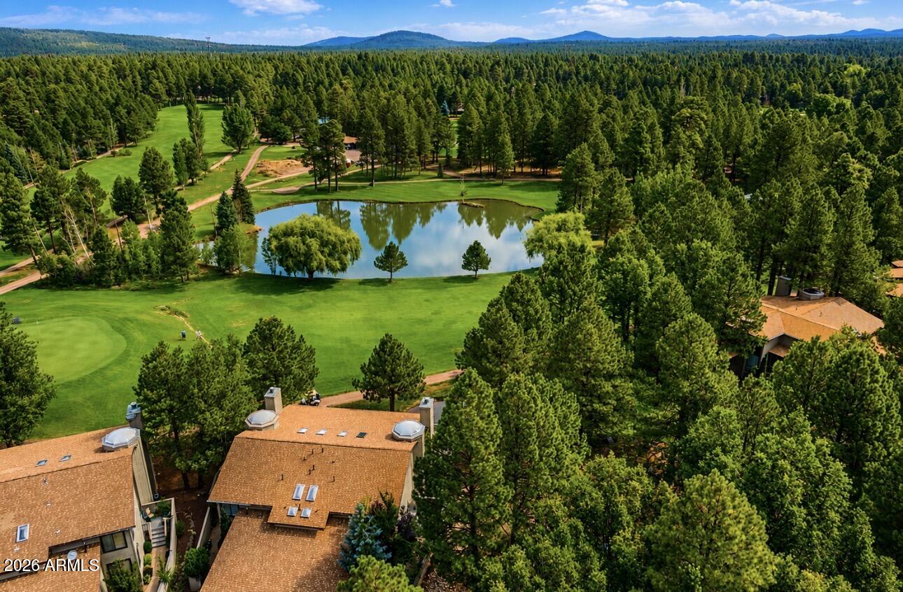 4508 Crown Dancer Drive 72, Pinetop, AZ 85935 — Photo 1 of 37