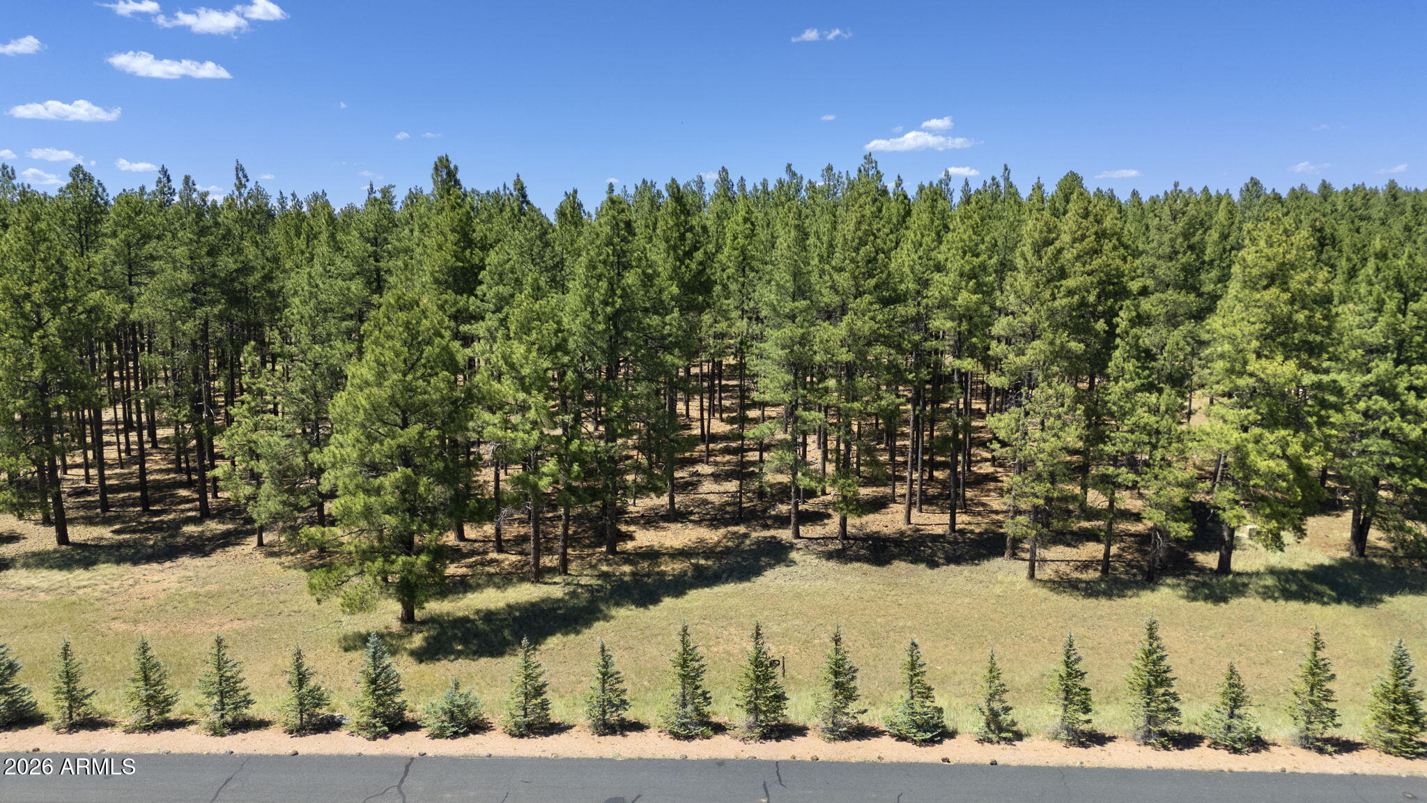 9 E FOXBORO Road 14, Munds Park, AZ 86017 — Photo 1 of 57