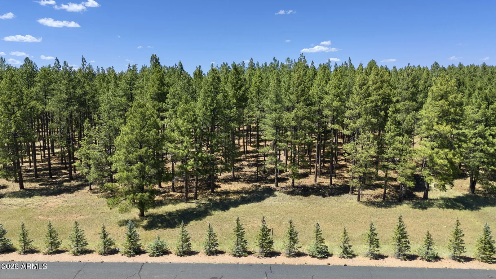 9 E FOXBORO Road 14, Munds Park, AZ 86017 — Photo 1 of 57