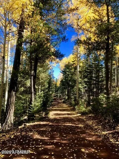 Thumbnail 36