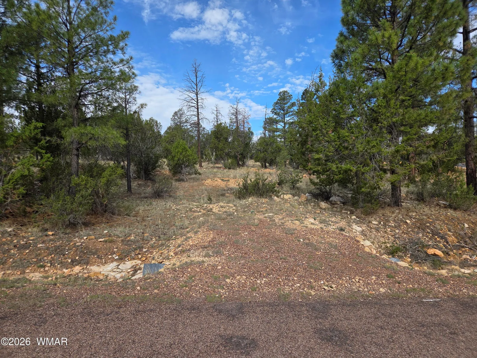 3332 Sawmill Ridge Loop, Heber, AZ 85928 — Photo 1 of 12