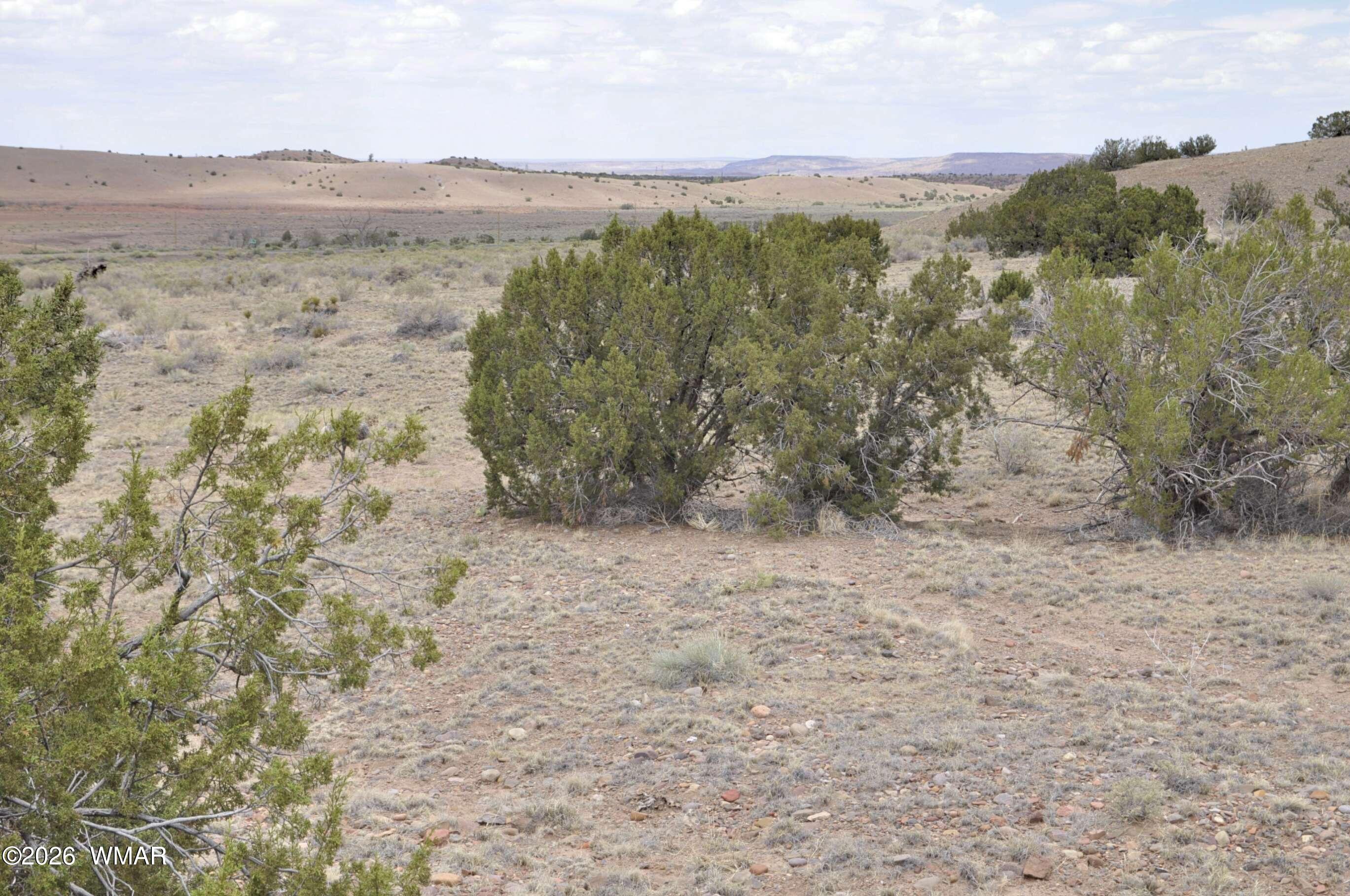 88B County Road 5035, Concho, AZ 85924 — Photo 1 of 21